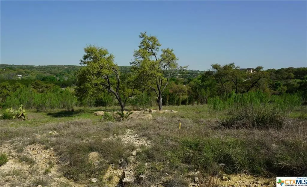 Canyon Lake, TX 78133,726 Caballo TRL