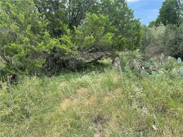 Granite Shoals, TX 78654,Lots 112-113 Cedar HL