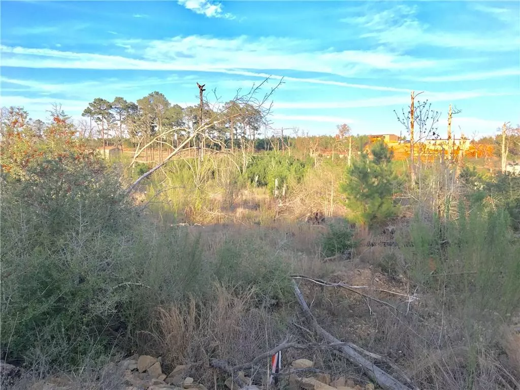 Bastrop, TX 78602,000 Lakewood DR