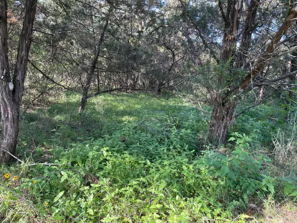 Lot 423 Indian Summer, Spicewood, TX 78669