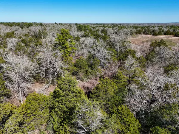 Paige, TX 78659,Lot 8 South Old Potato RD