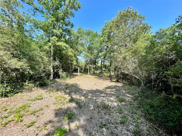 Hilltop Lakes, TX 77871,9211 Stetson DR