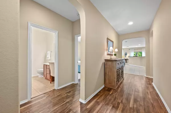 Kyle, TX 78640,905 Apricot DR