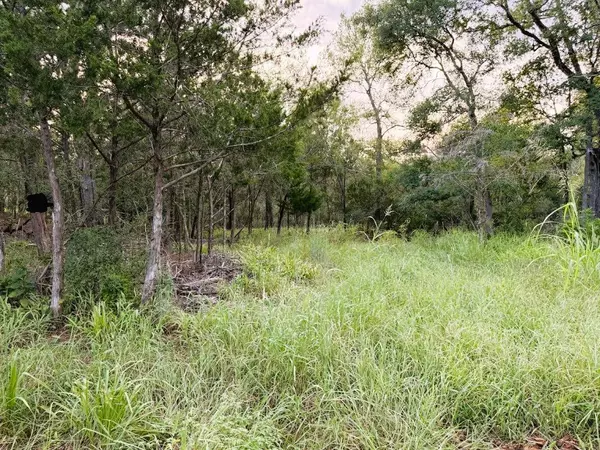 Bastrop, TX 78602,TBD Hilea Ct (lot 626) Hilea CT