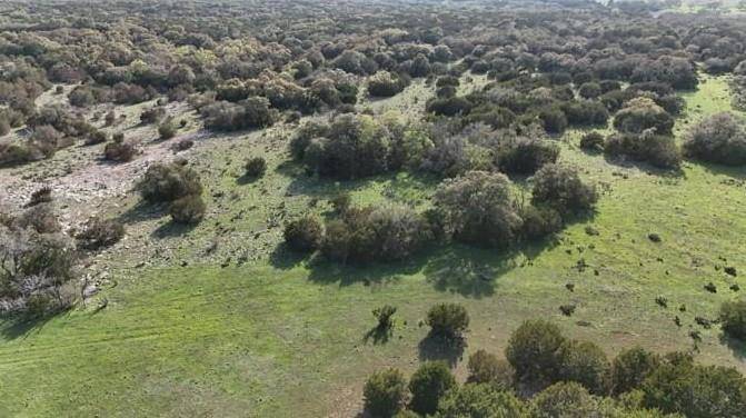 Burnet, TX 78611,TBD 000 County Road 108
