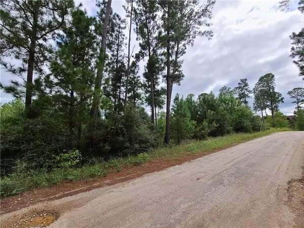 001 Makaha DR, Bastrop, TX 78602