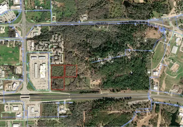 Bastrop, TX 78602,1900 Government