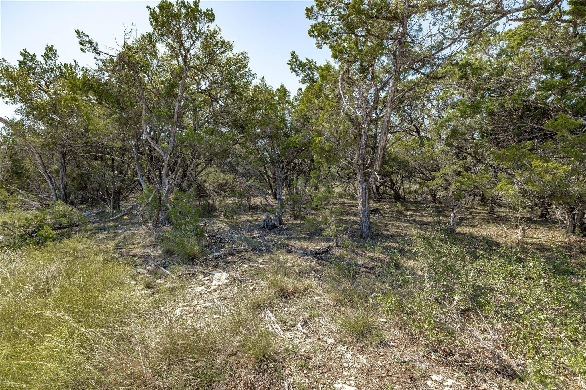 Leander, TX 78641,TBD County Road 281 Lot 1