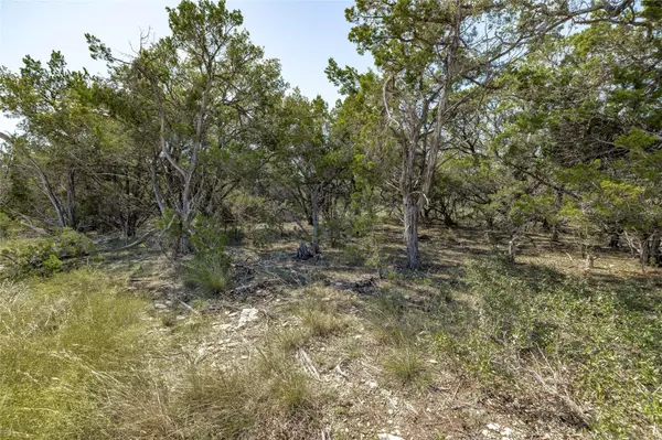 Leander, TX 78641,TBD County Road 281 Lot 1