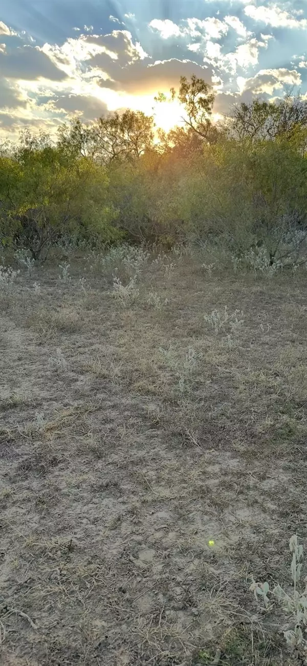 Dale, TX 78616,000 Carter RD