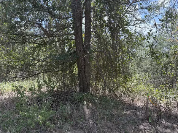 Bastrop, TX 78602,TBD Honolulu LN