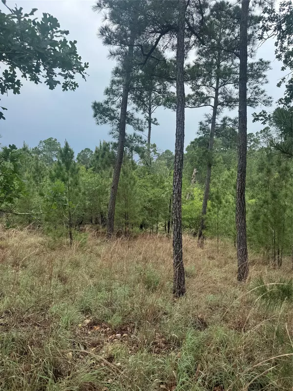 Bastrop, TX 78602,Lot 1612 Kaanapali LN