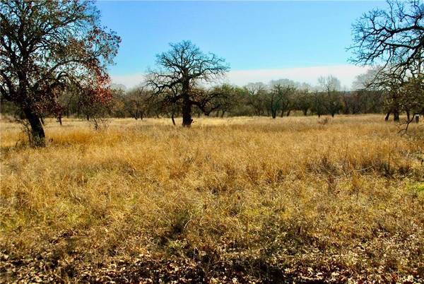 Lot 4 Los Encinos DR,  Marble Falls,  TX 78654