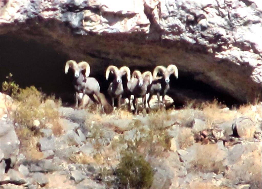 0 Stone RD,  Sierra Blanca,  TX 79851