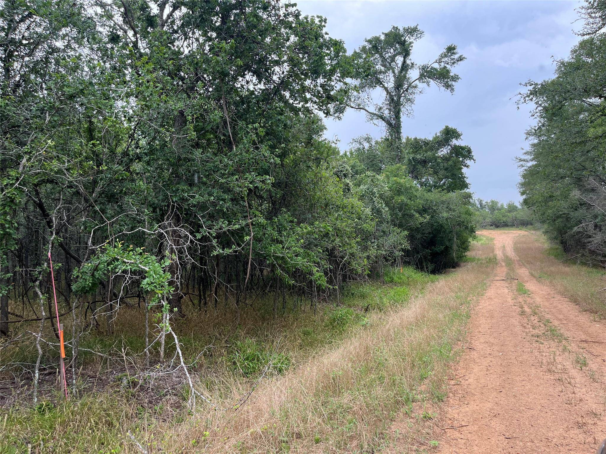 Bastrop, TX 78602,000 Kaaawa LN #5