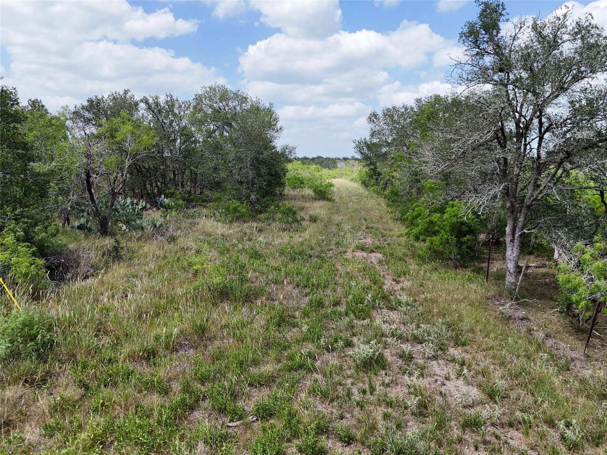 Waelder, TX 78959,Lot 8 FM 2814