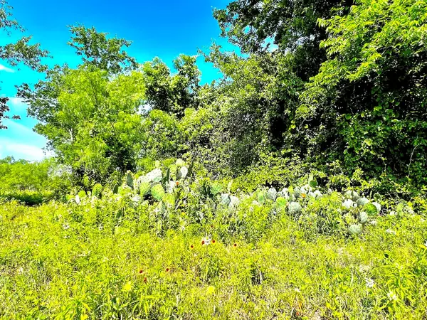 430 Broadhead TRL, Luling, TX 78648