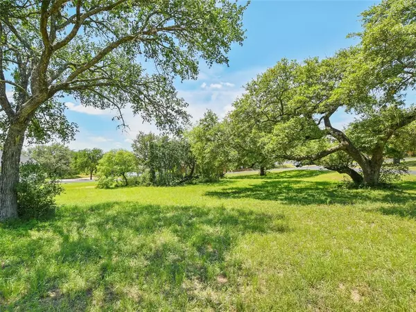 201 RIVER PARK DR,  Kingsland,  TX 78639
