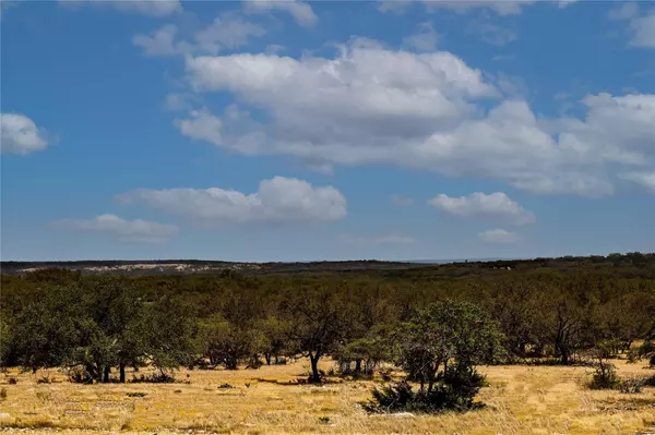 Mountain Home, TX 78058,100acres Highway 83 HWY #100acres