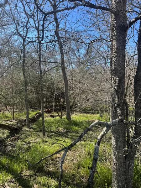 289 Iva LN, Bastrop, TX 78602