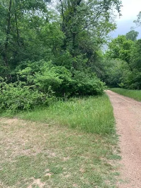 Bastrop, TX 78602,Lot 812 Kaukonahua LN