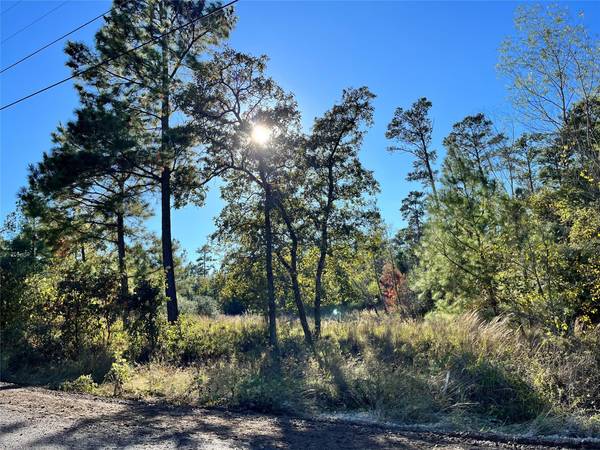 Lot 1511 Haleakala LN, Bastrop, TX 78602