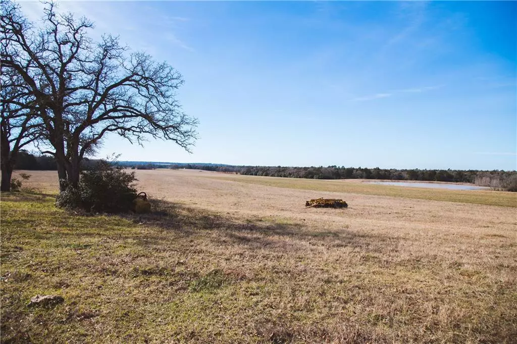 Rosanky, TX 78953,TBD Peach Creek RD