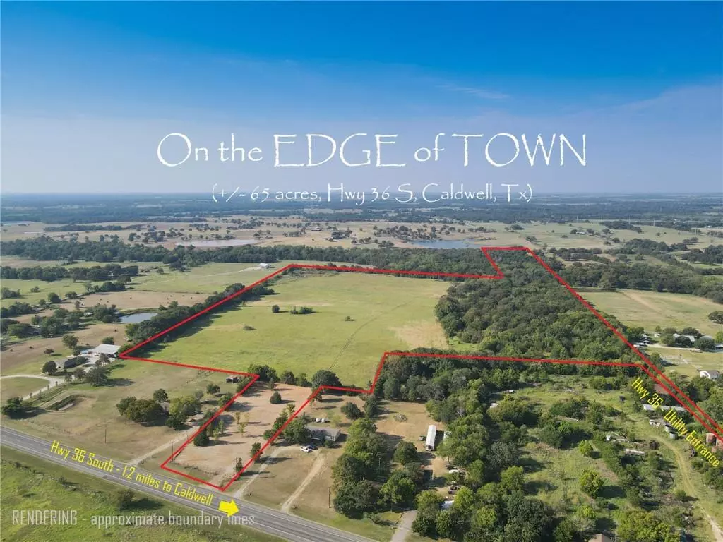 Caldwell, TX 77836,2620 St Hwy 36 (+/- 65 acres)