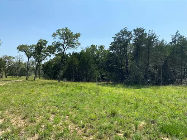 Smithville, TX 78957,TBD High Crossing Rd - TRACT 7