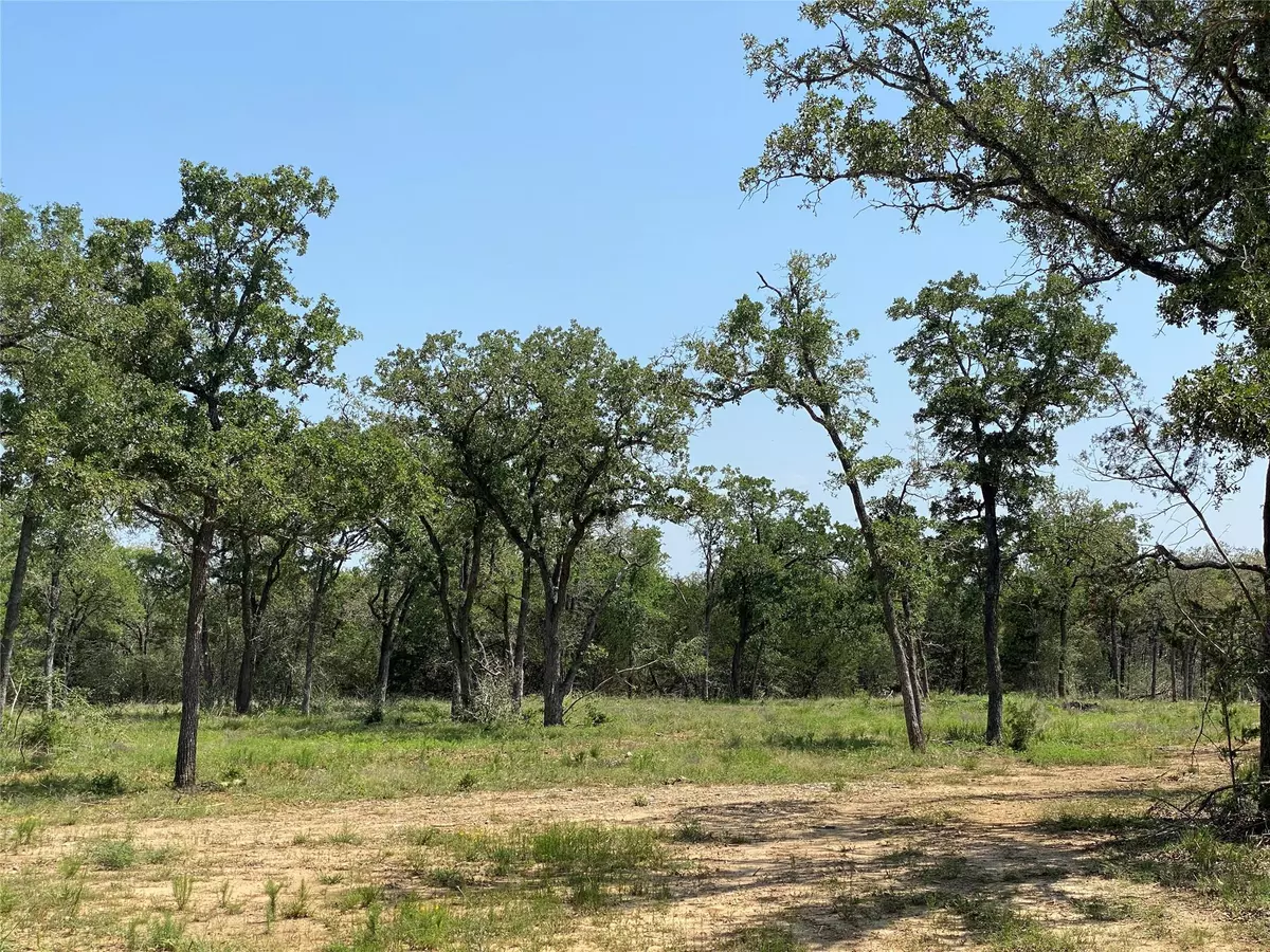 Smithville, TX 78957,TBD High Crossing Rd - TRACT 7