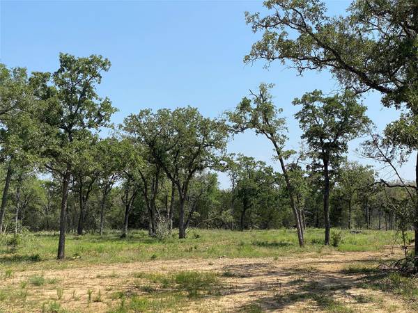 TBD High Crossing Rd - TRACT 7, Smithville, TX 78957