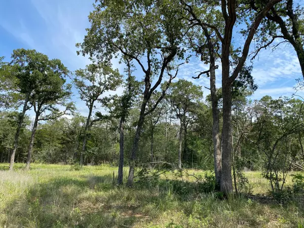 Smithville, TX 78957,TBD High Crossing Rd - TRACT 7