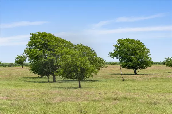 Moody, TX 76557,16160 Siler Road RD