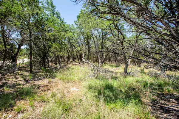 Wimberley, TX 78676,41 Persimmon DR