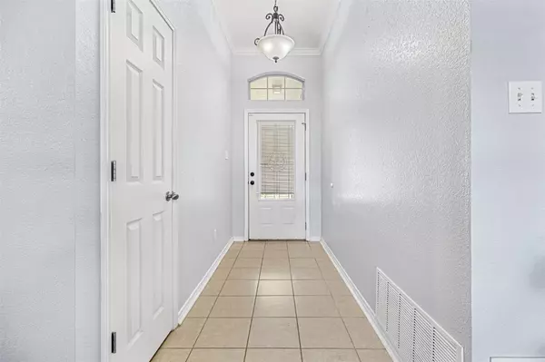 Belton, TX 76513,36 Golden Poppy LOOP