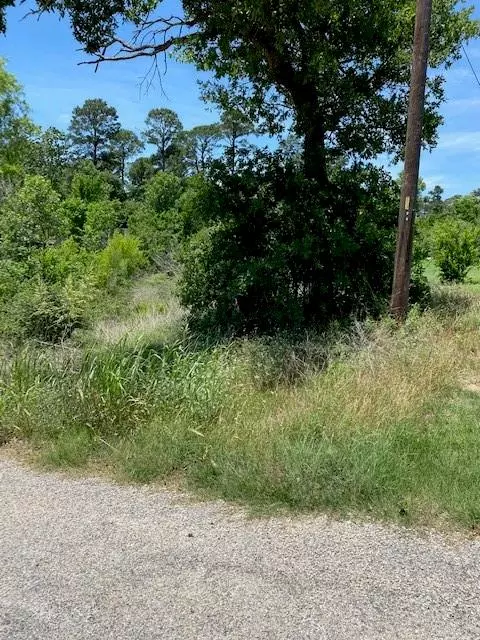 Bastrop, TX 78602,Lot 1533 Pahoiki LN