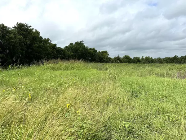 Round Top, TX 78954,TBD TX 237