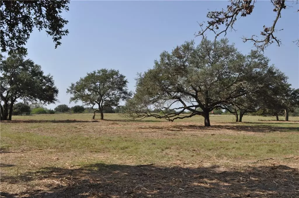 Yoakum, TX 77995,0000 Rice RD