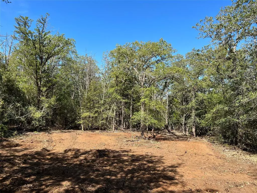 Cedar Creek, TX 78612,LOT 29-B Mesquite DR