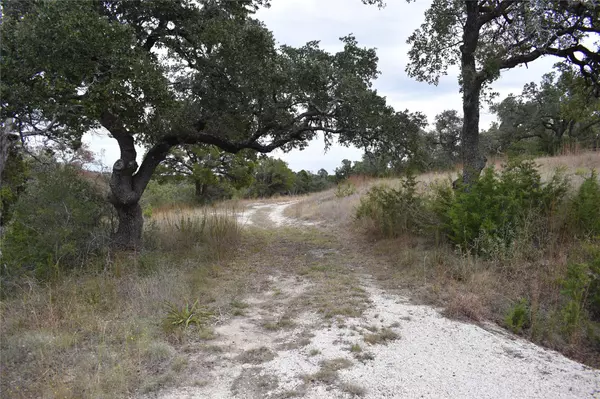 Dripping Springs, TX 78620,791 Cattle Trail DR