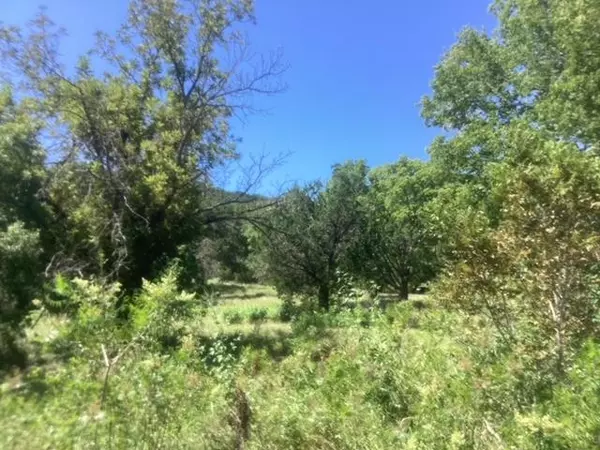 Leander, TX 78641,24418 Cottonwood DR