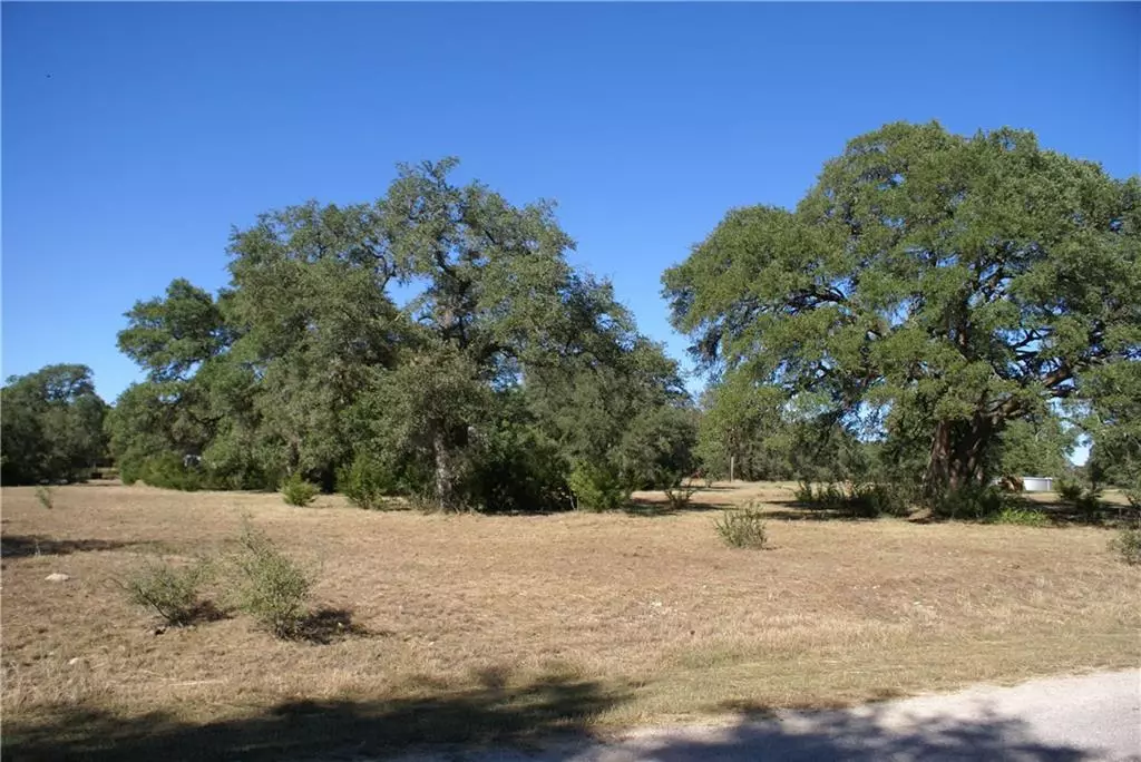 Driftwood, TX 78619,Lot 11 Cosmos