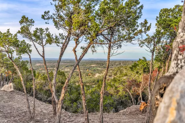 Dripping Springs, TX 78620,3300 FM 165 - Lot 20