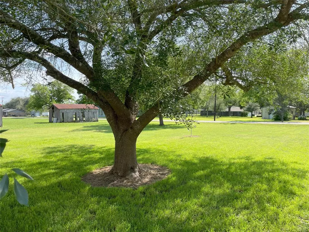 Moulton, TX 77975,703 S Arnim ST