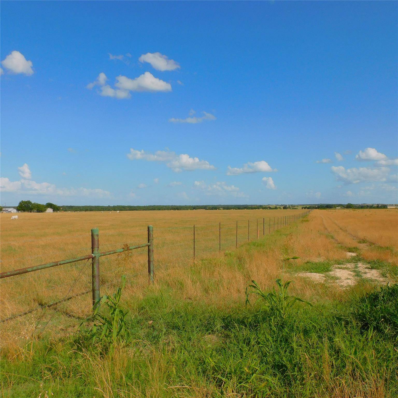 Coupland, TX 78615,3009 Dolphin DR