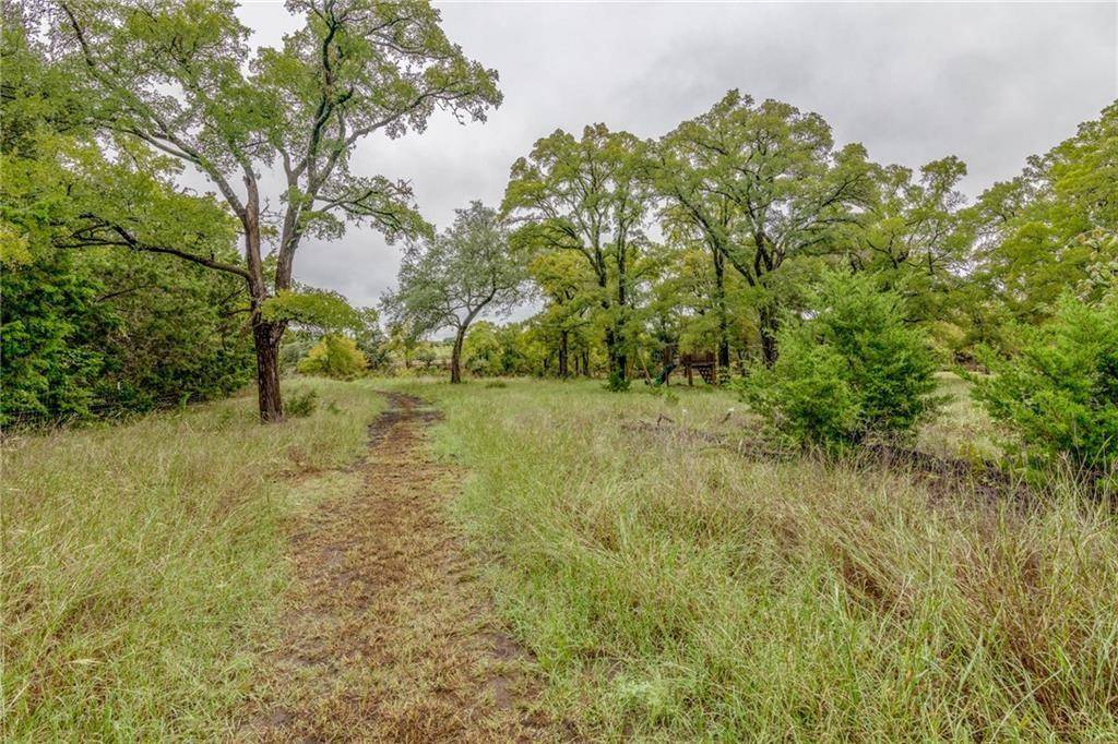 239 Little Gabriel River DR, Liberty Hill, TX 78642