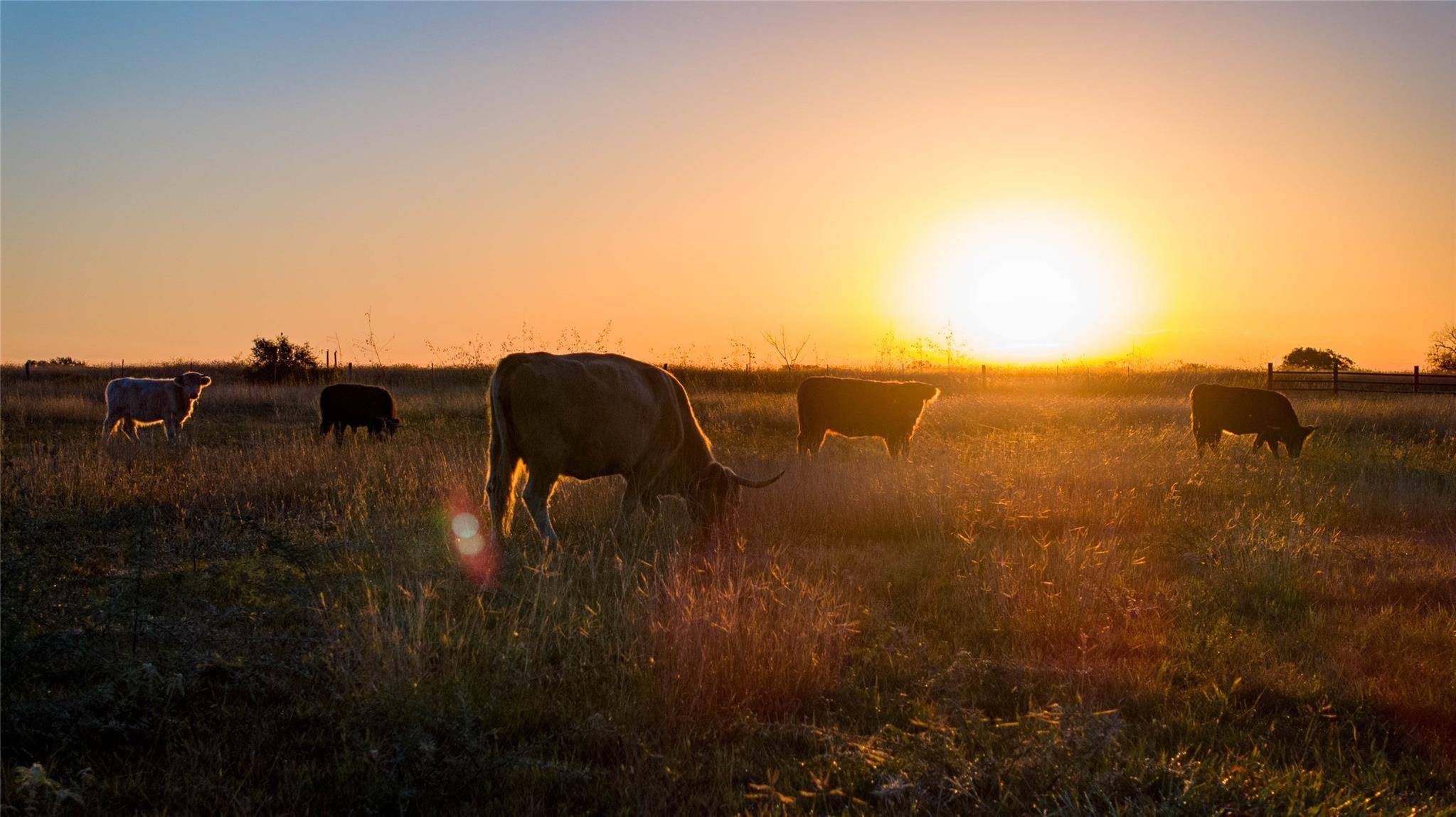 Hallettsville, TX 77964,322 County Road 180A