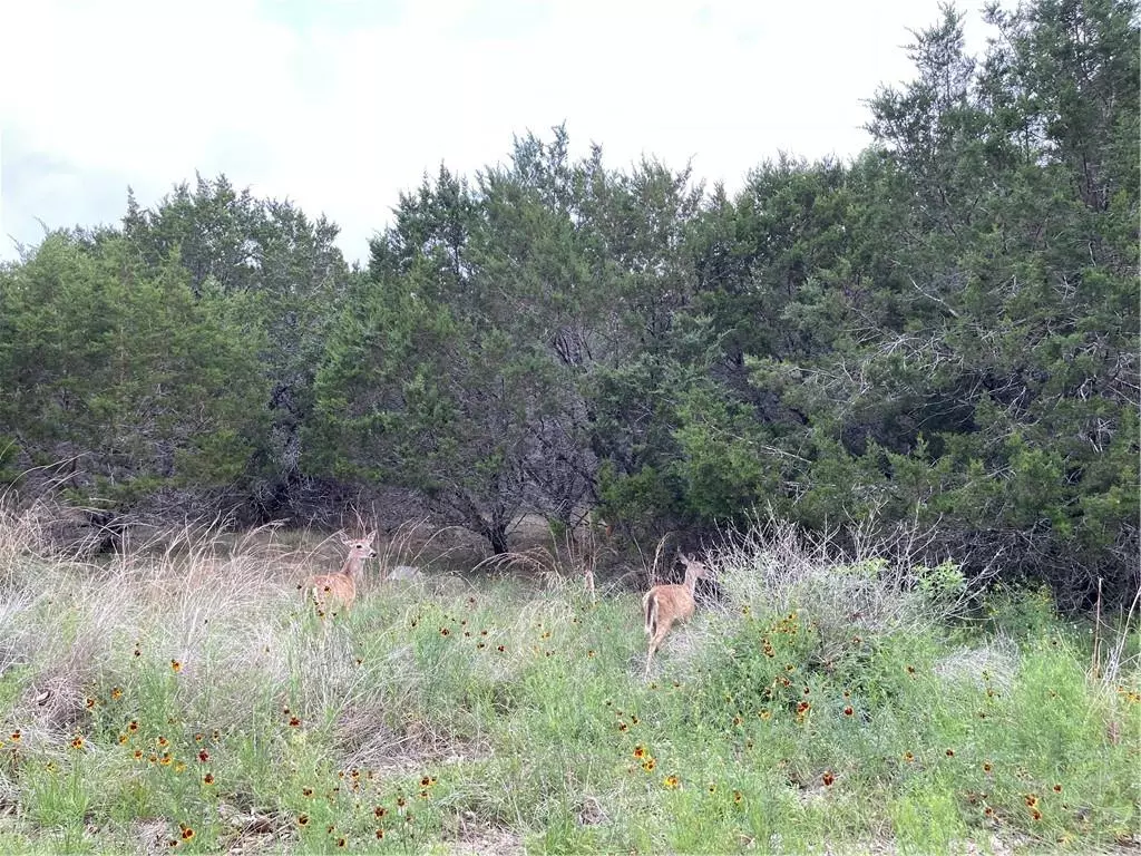 Lago Vista, TX 78645,2601 Hancock Ave