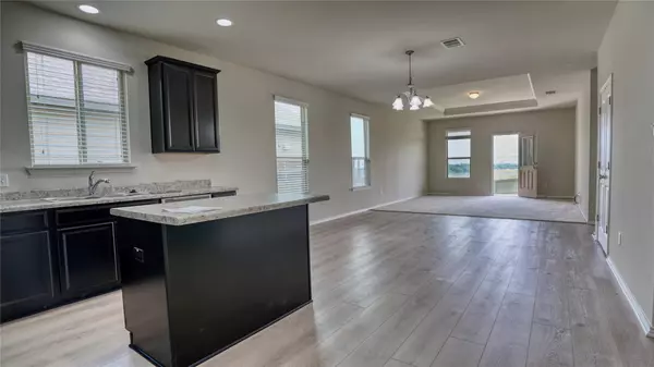 Liberty Hill, TX 78642,137 Carlina LOOP