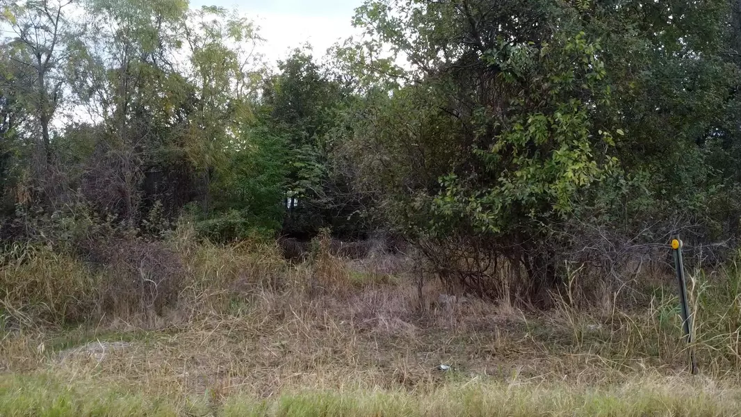 13295 Mockingbird DR #Lot 62, Granite Shoals, TX 78654